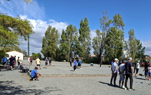 6a97d4124586e_4732.jpg